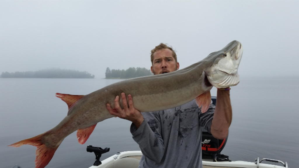 Northern Minnesota Muskie Guide Service