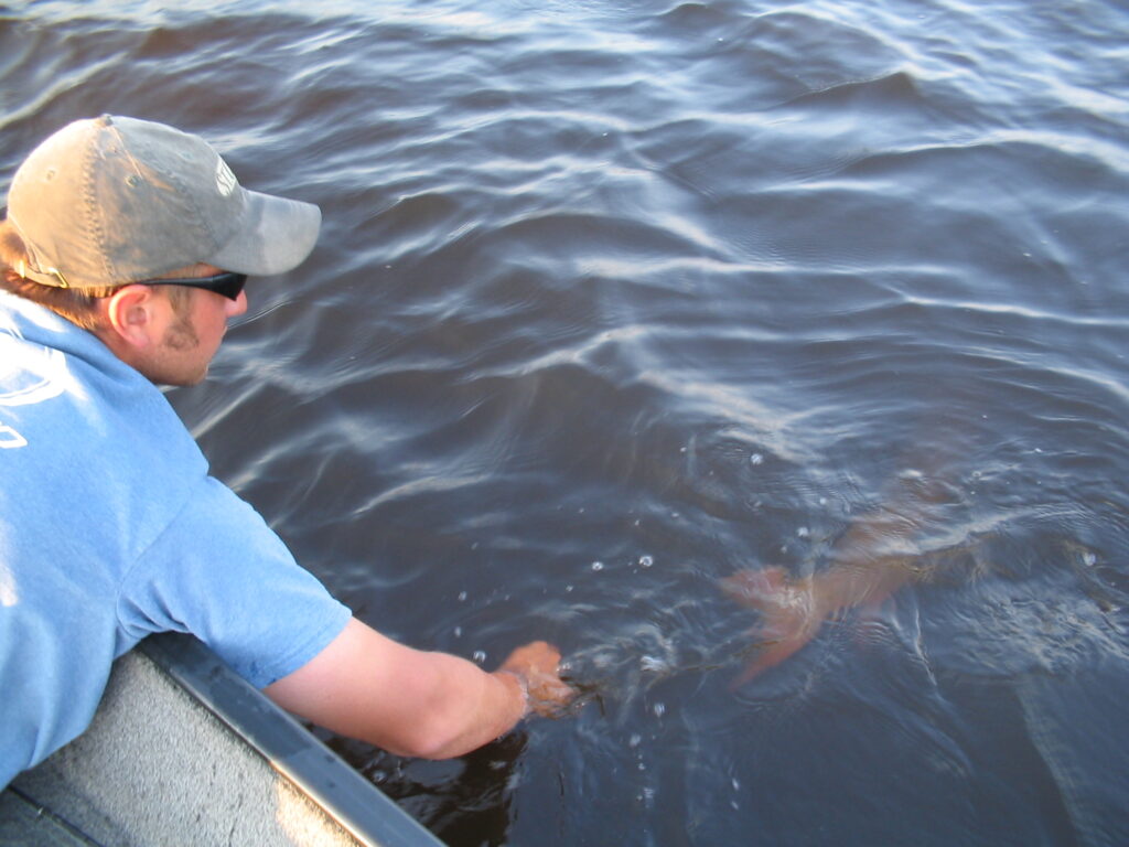 Northern Minnesota Muskie Guide Service